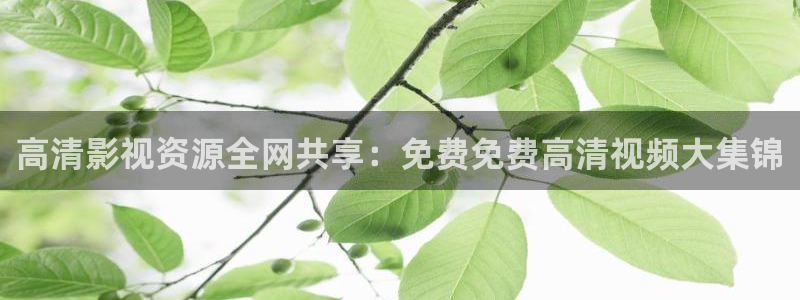 新酷客影院：高清影視資源全網共享：免費免費高清視頻大集錦