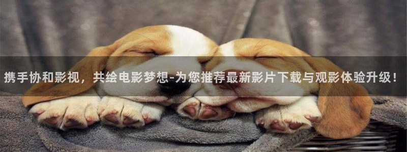 酷客影院交換的一天