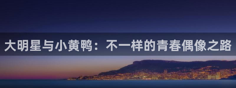 酷客免費影視院：大明星與小黃鴨：不一樣的青春偶像之路