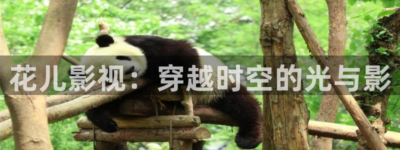 酷客影院免費看電視劇：花兒影視：穿越時空的光與影