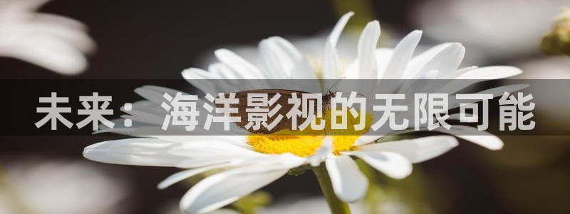 酷客影視免費觀看大全：未來：海洋影視的無限可能